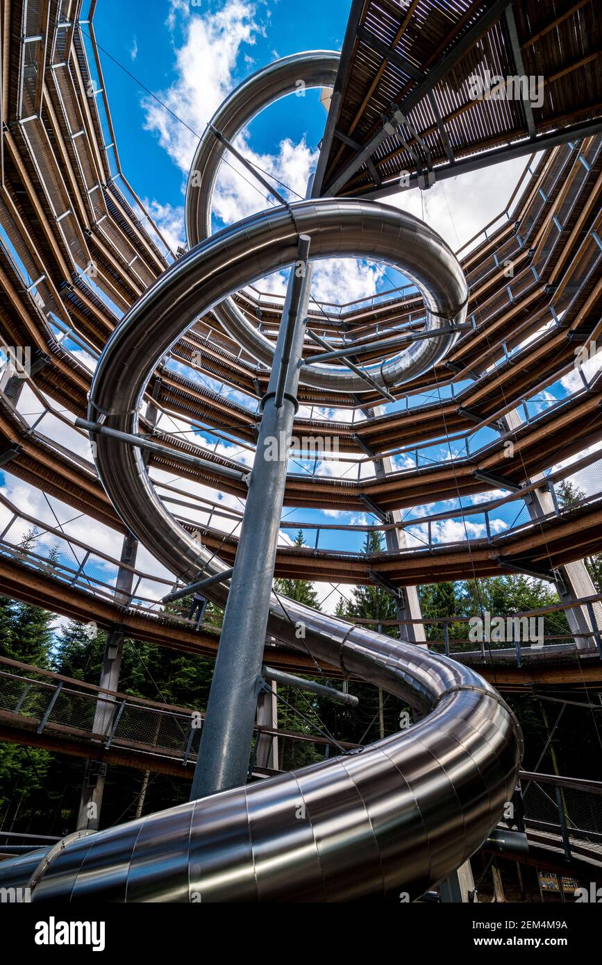 Glissez à la Baumwipfelpfad à Bad Wildbad, Forêt Noire, Allemagne Banque D'Images