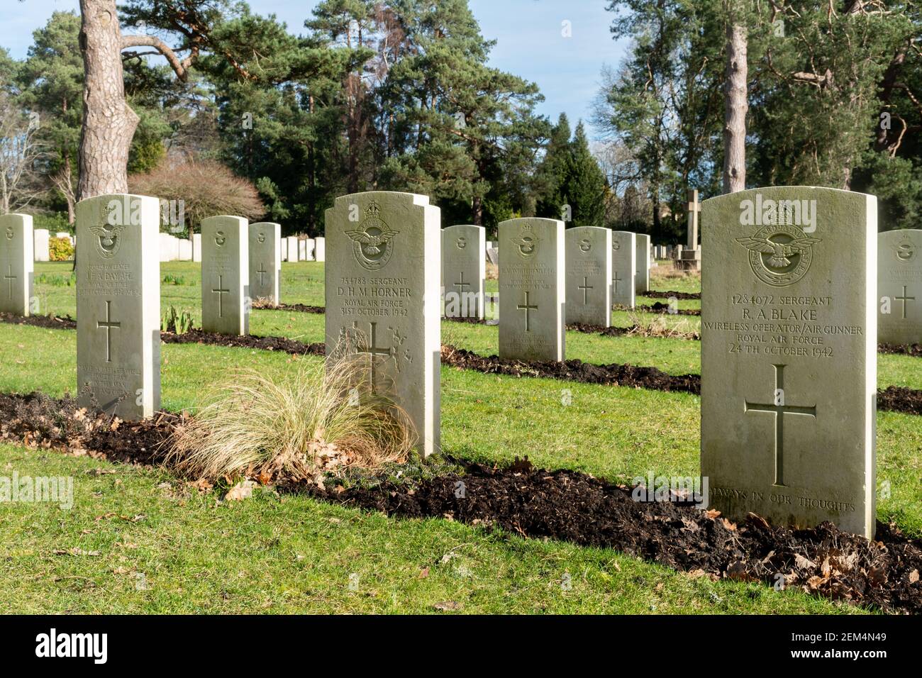 Tombes de guerre du Commonwealth au cimetière militaire de Brookwood à Surrey, Angleterre, Royaume-Uni. Section de la Royal Air Force. Banque D'Images