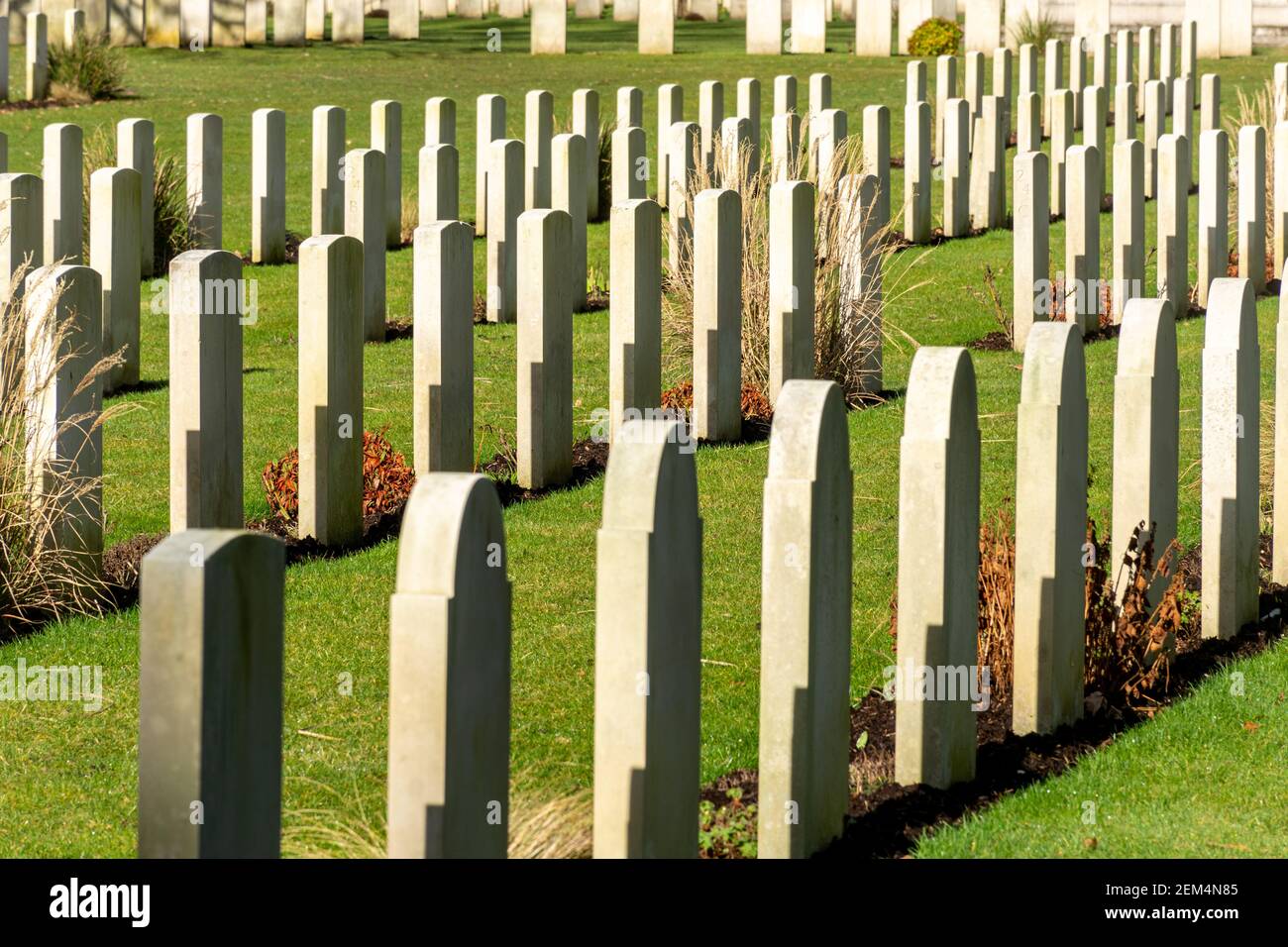 Tombes de guerre du Commonwealth au cimetière militaire de Brookwood à Surrey, Angleterre, Royaume-Uni Banque D'Images