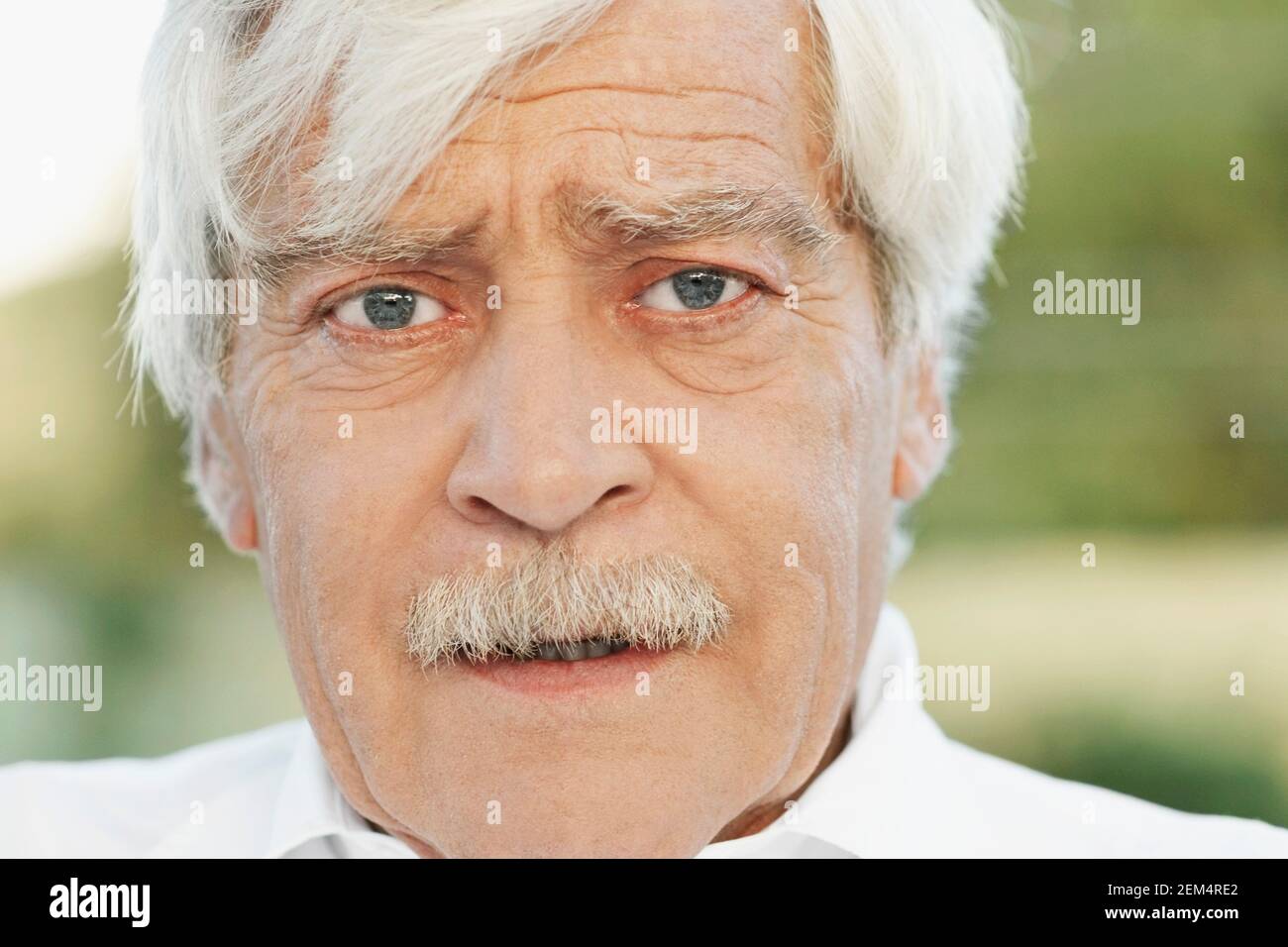 Portrait of a senior man Banque D'Images
