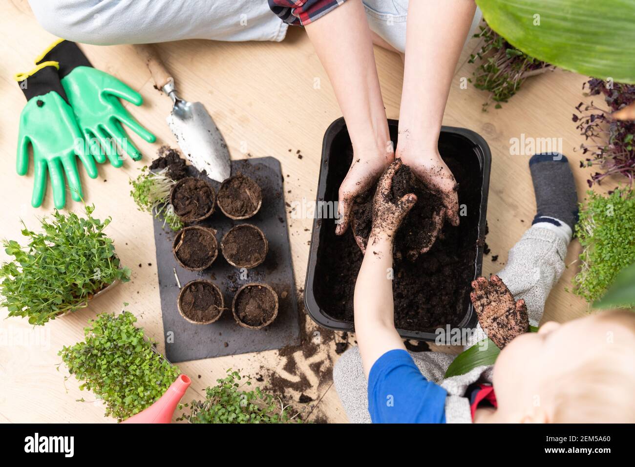 Vue de dessus d'une mère et d'un enfant préparant le sol pour les graines. Passe-temps à la maison et apprentissage de la botanique. Banque D'Images
