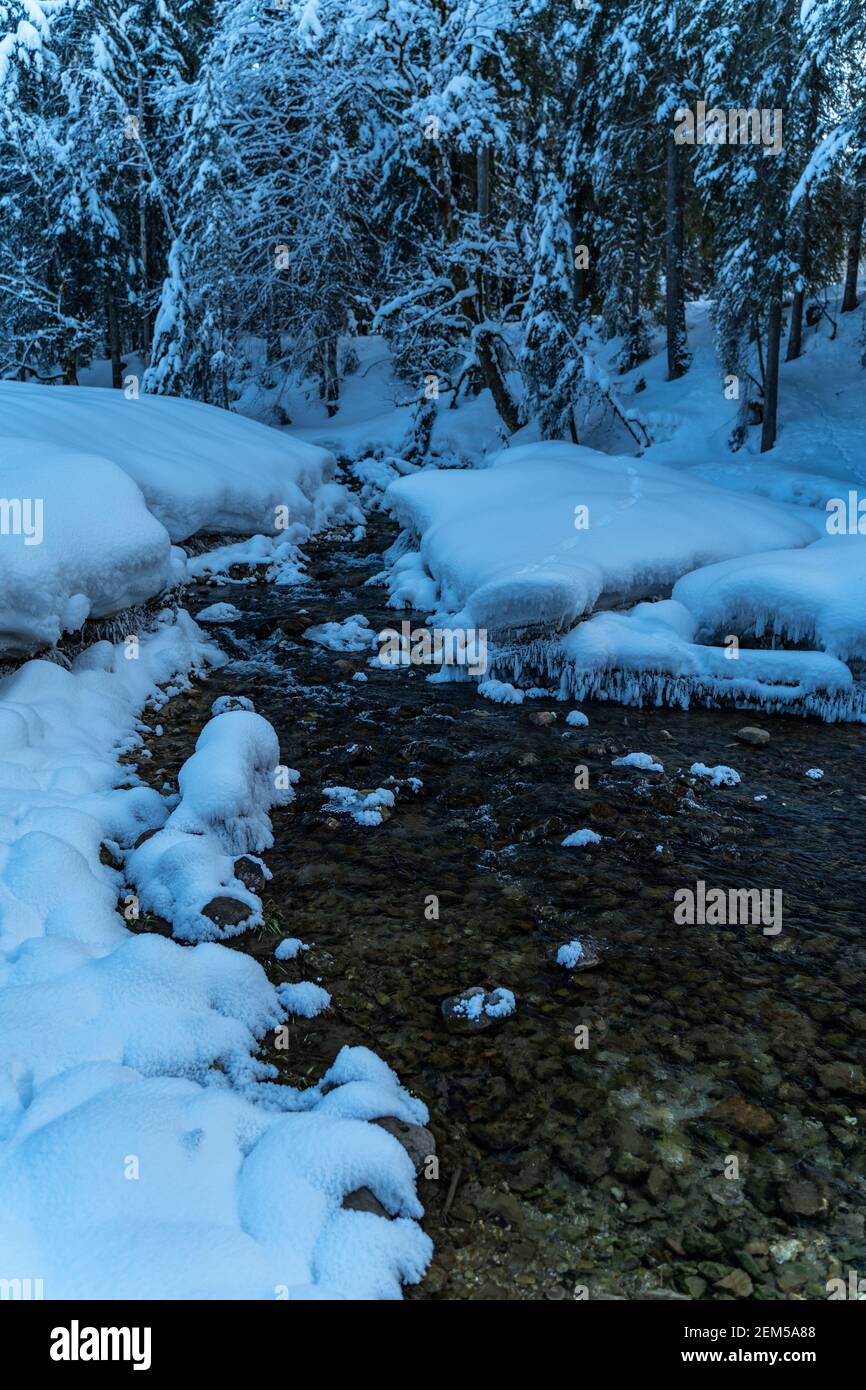 Winter im Bregenzerwald mit vereistem Bach im verschneiten Wald. Hivernent dans la forêt de Bregenz avec un ruisseau glacé dans la forêt enneigée. Cascade et soleil Banque D'Images