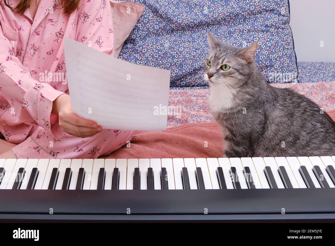 Un Chat Regarde La Musique En Feuilles Sur Un Morceau De Papier Ecrivant De La Musique Par Un Compositeur Sur Un Piano Numerique Photo Stock Alamy