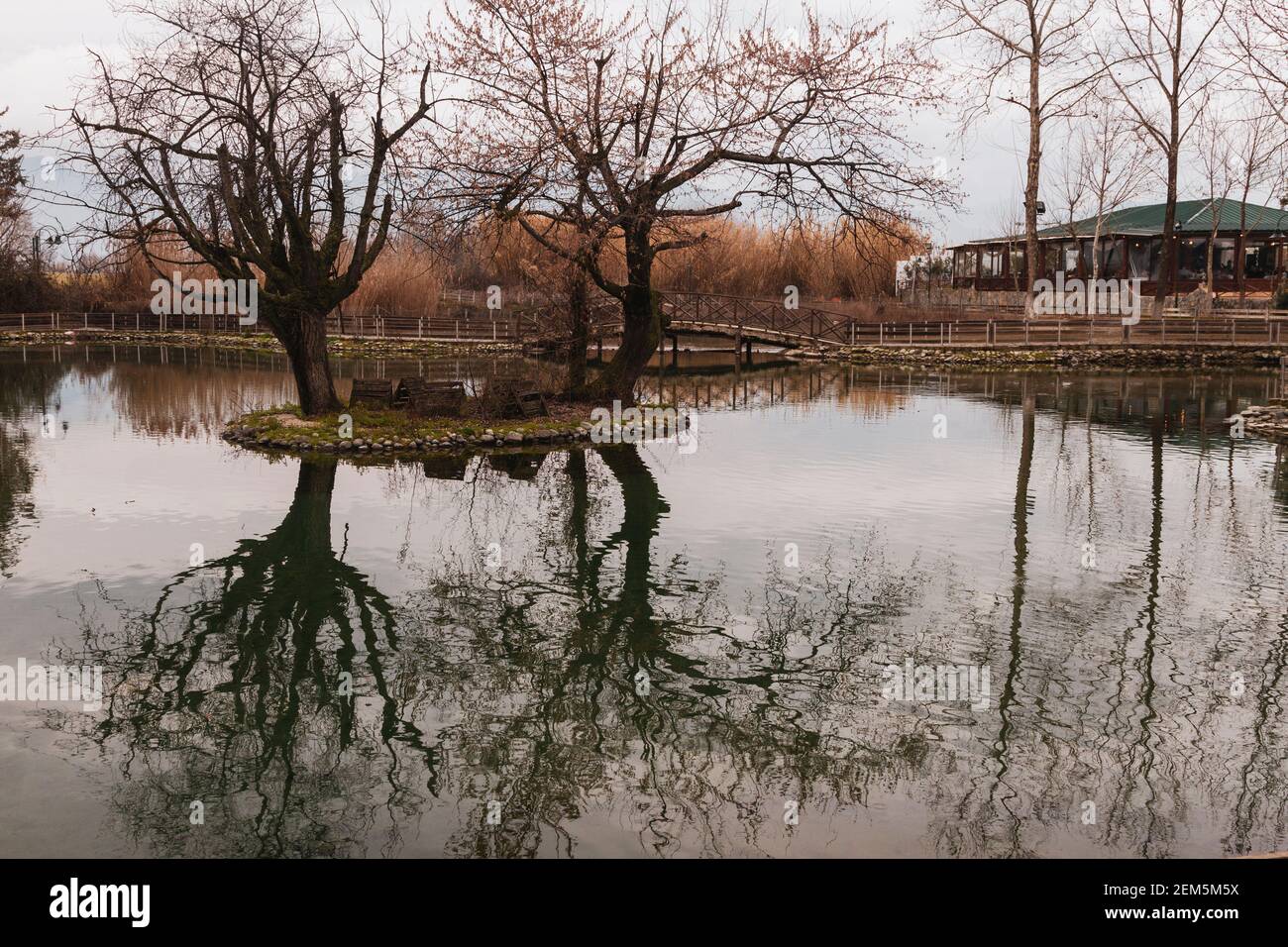 Paysage de rêve avec des reflets d'arbres sur l'eau calme d'un étang. Dans la région thessalie, près de la ville de Larisa, Grèce, Europe Banque D'Images