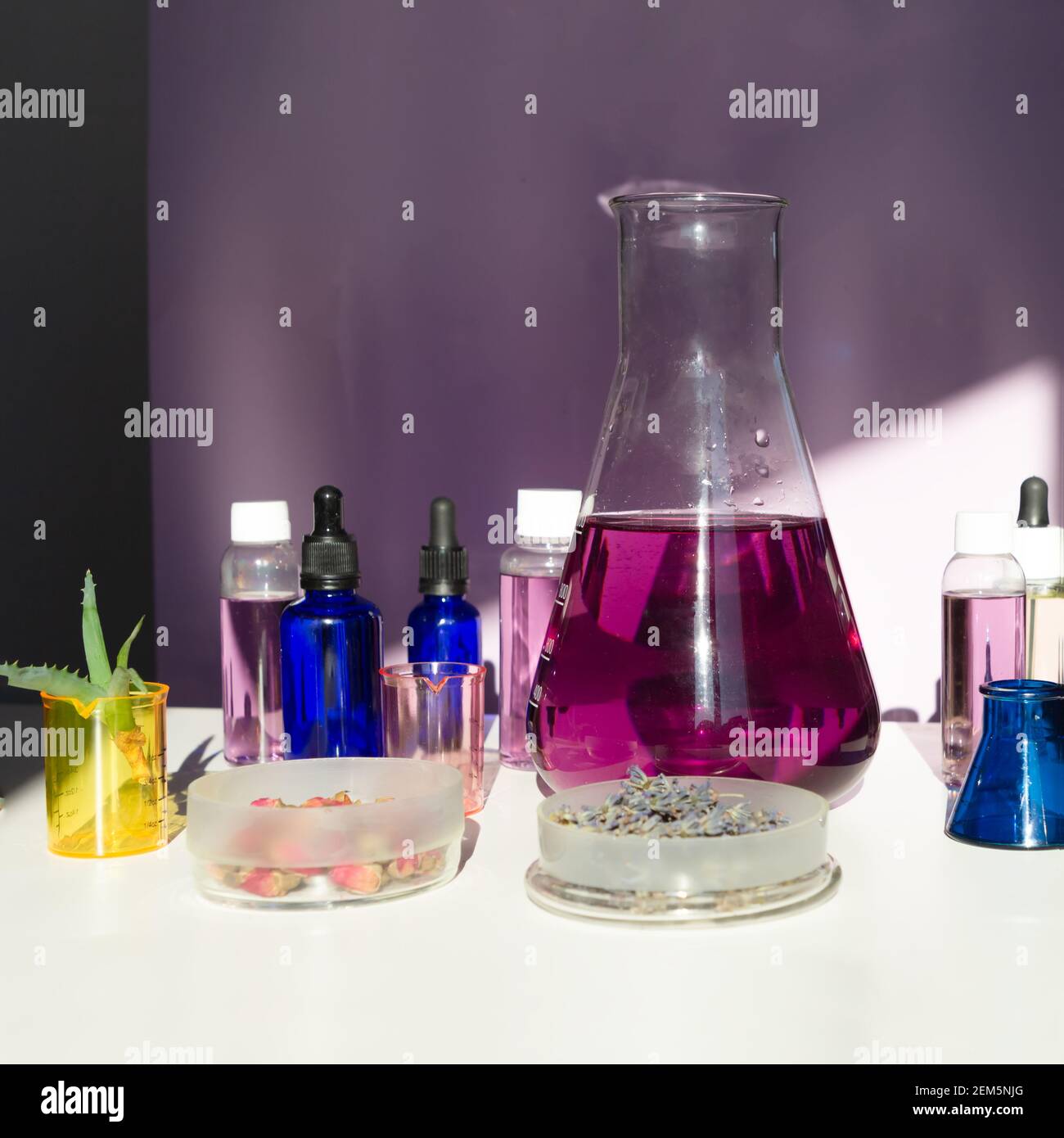 Laboratoire cosmétique ou chimique abstrait. Équipement de laboratoire, flacons, tubes à essai, boîtes de Petri. Concept créatif avec ombres dures. Banque D'Images