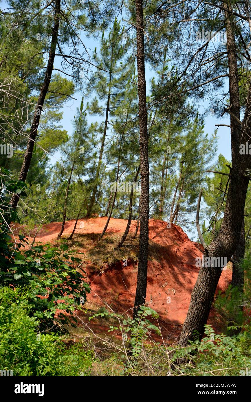 Célèbres falaises de l'ocre à Roussillon, situé à 10 kilomètres à l'ouest d'Apt et à 50 kilomètres d'Avignon dans la région Provence en France Banque D'Images