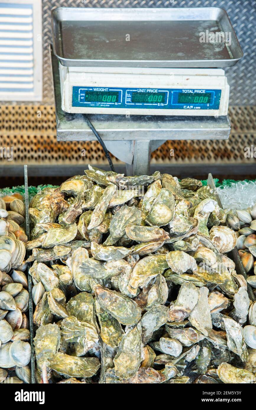 Huîtres à vendre au marché aux poissons Banque D'Images