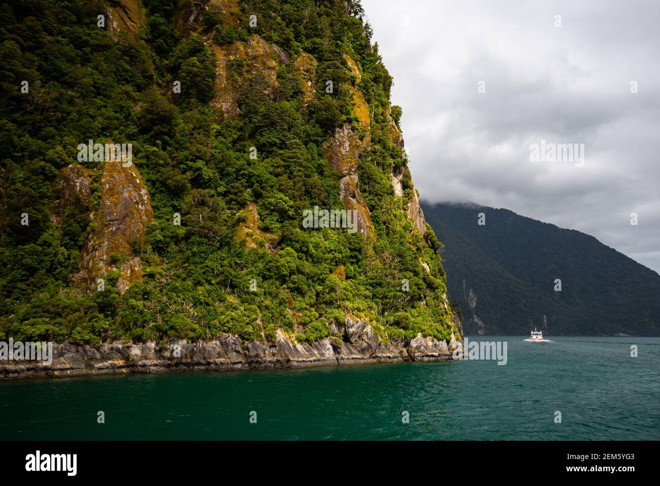 Croisière en bateau sur le Milford Sound - Stirling Falls, Nouvelle-Zélande Banque D'Images