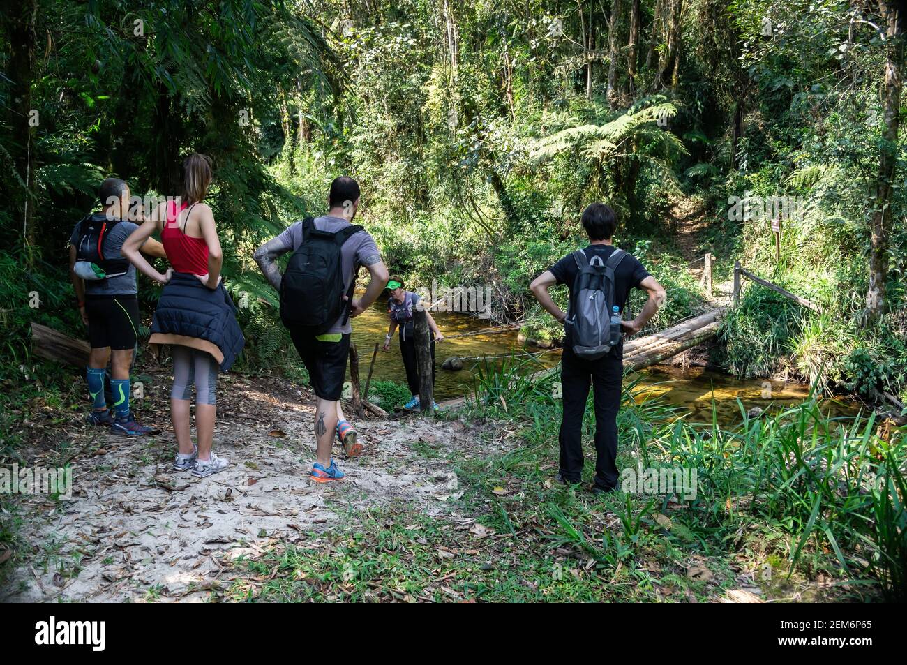 Les randonneurs se préparant à traverser un pont étroit en rondins au-dessus d'une rivière au milieu de Trilha das Cachoeiras (sentier de randonnée des chutes d'eau). Banque D'Images