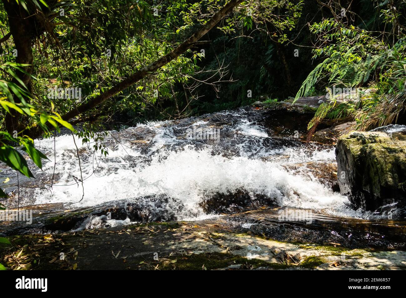 Courant d'eau limpide qui coule autour des formations rocheuses de la cascade d'Ipiranguinha, l'une des attractions touristiques de la forêt de Serra do Mar. Banque D'Images