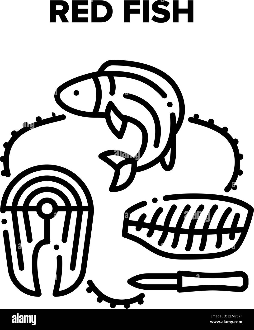 Illustrations de la viande de poisson rouge Vector Black Illustration de Vecteur