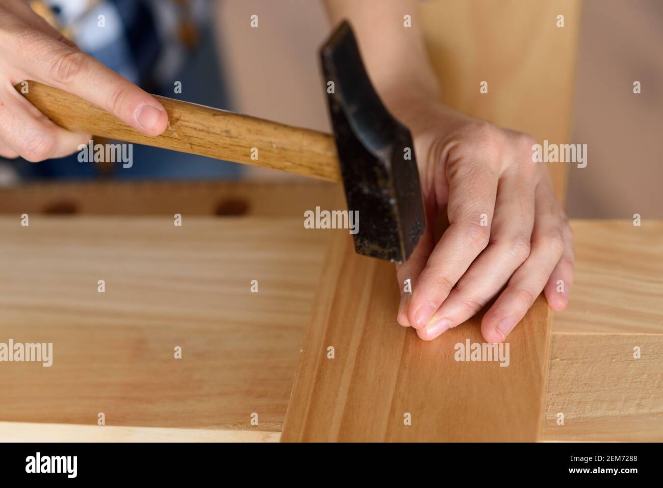 gros plan d'une jeune femme qui assemble des meubles à la maison travaillant avec un marteau. Concept DIY. Photo de haute qualité Banque D'Images