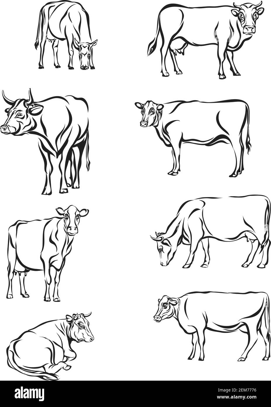Vache, vecteur, portrait, silhouette, animaux, conception Illustration de Vecteur