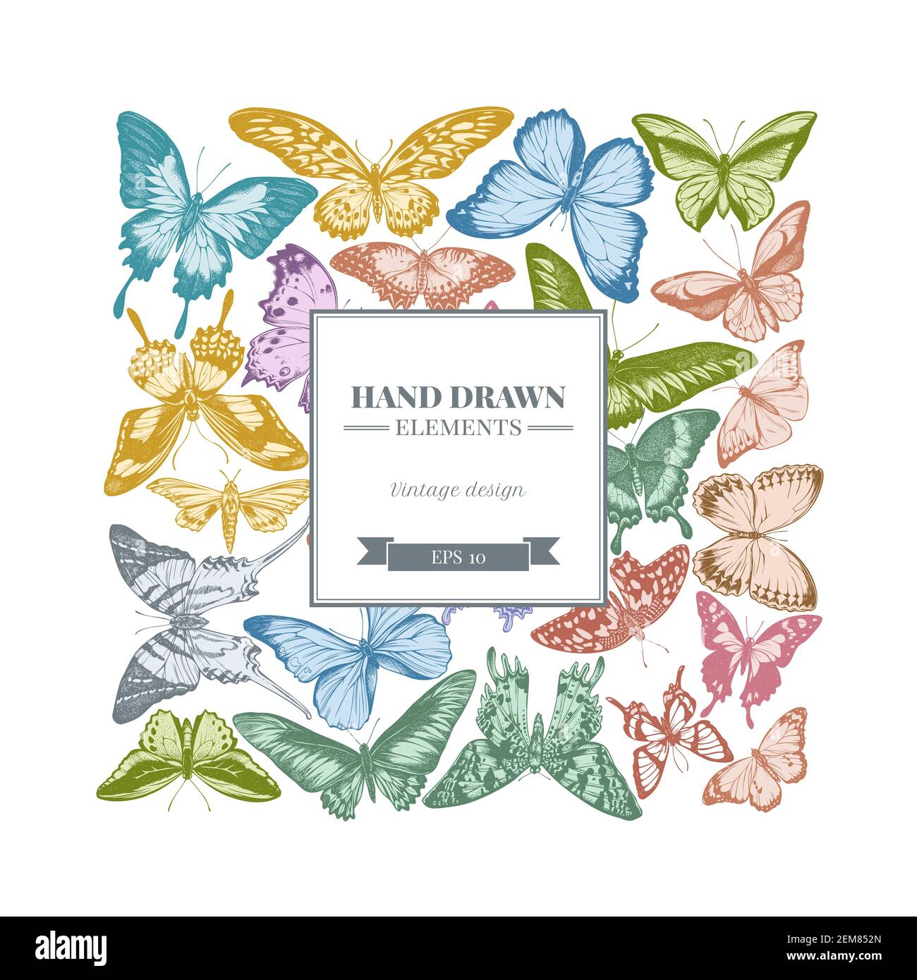 Motif carré avec pointe orange pastel, queue d'allowtail émeraude, reines de la jungle, tigre Uni, aile d'oiseaux de rajah brooke, papilio torquatus, queue d'allowtail Illustration de Vecteur