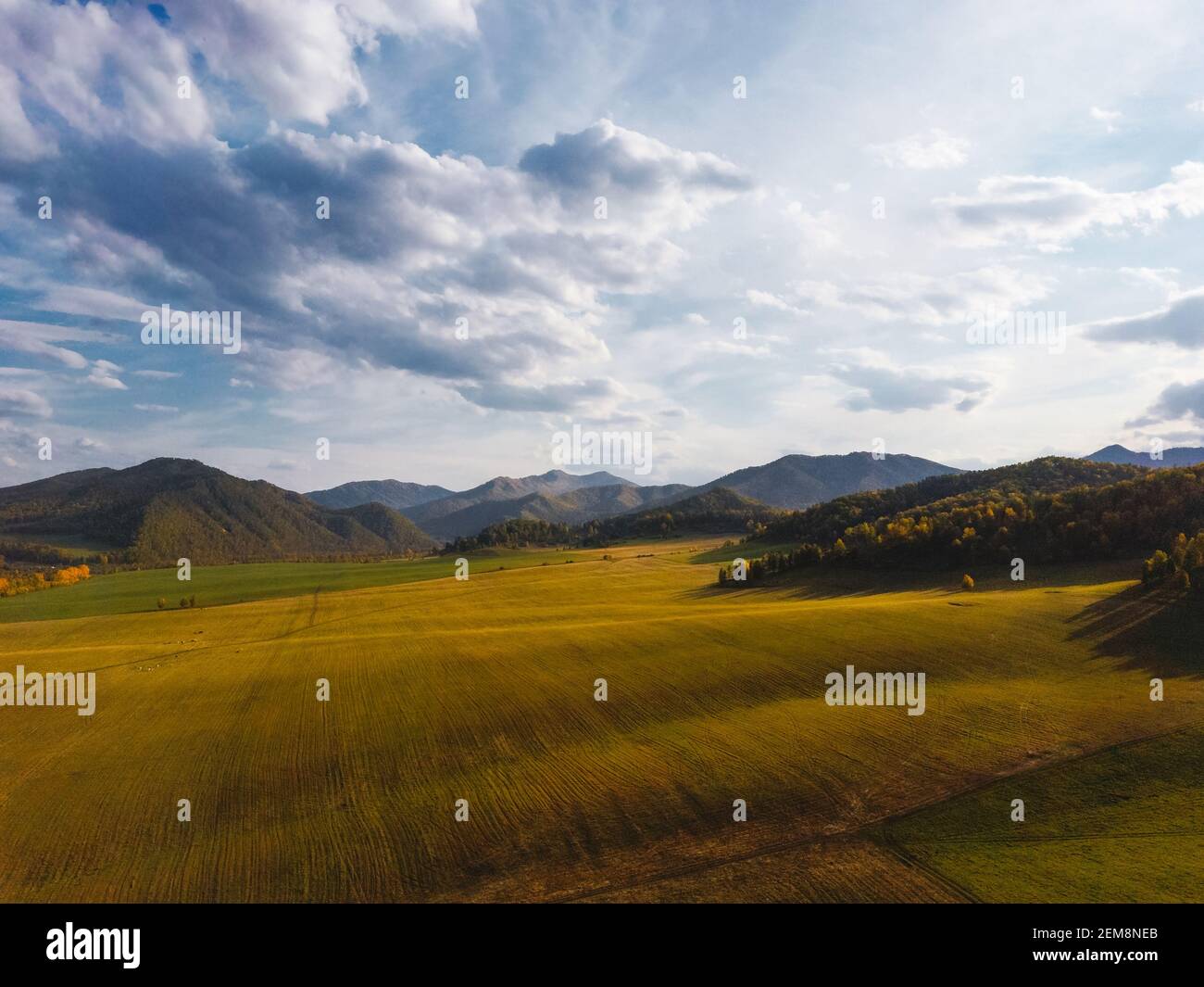 Vue aérienne des montagnes pittoresques de l'automne avec des champs de récoltes et de cultures d'hiver. Couleurs d'automne vives, Drone tournage de paysages de l'automne Banque D'Images