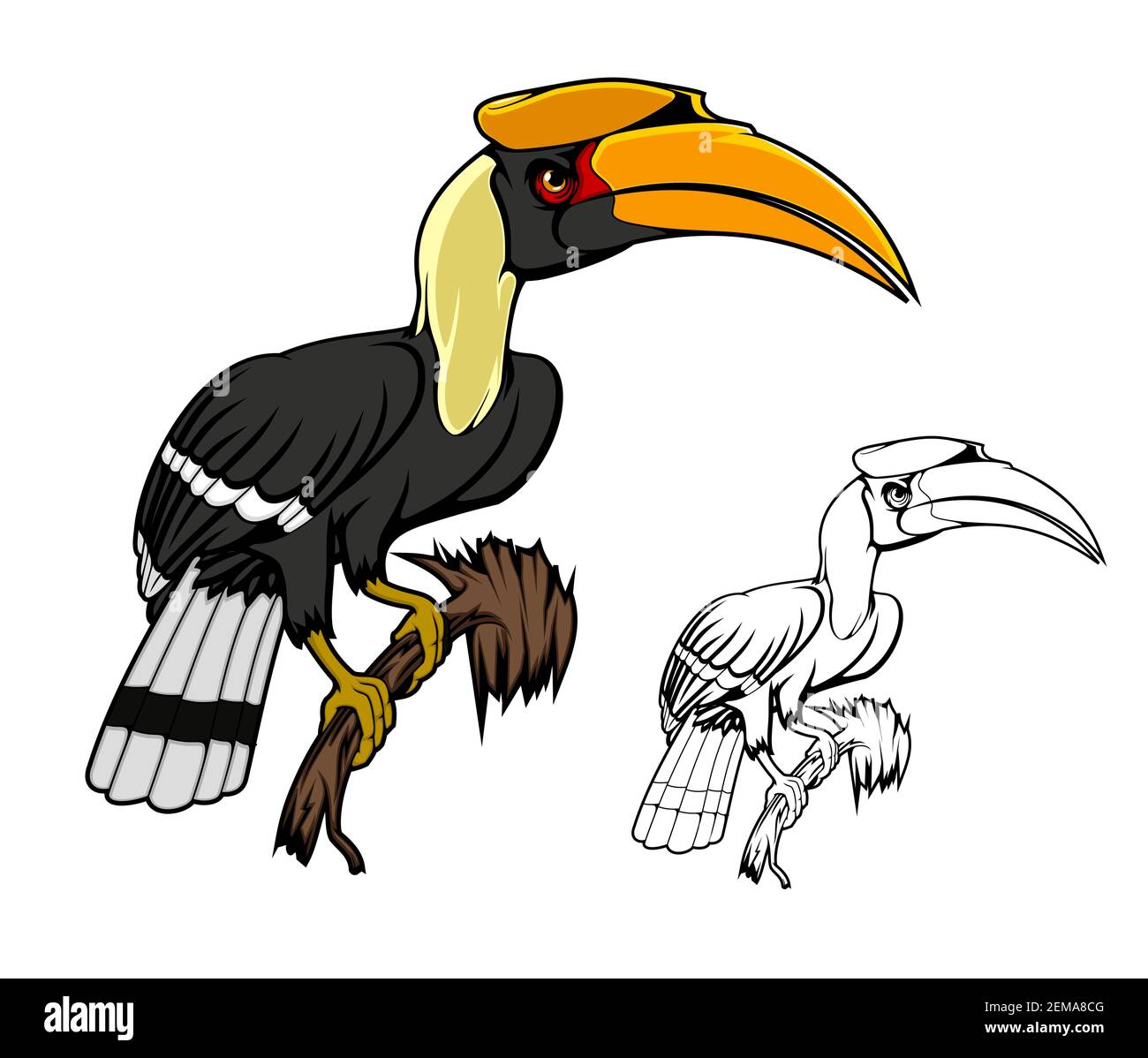 Rhinocéros oiseau de charme assis sur la branche. Kalao oiseau animal des forêts tropicales et de montagne avec grand bec jaune, plumage blanc noir sur le tai Illustration de Vecteur