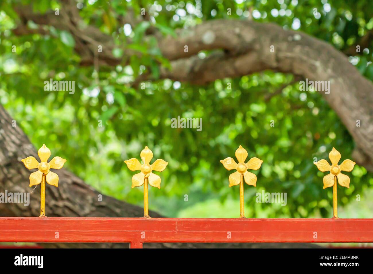 Clôture en acier orange ornée de fleurs dorées en fer forgé isolées sur des branches floues de fond de mangues. Banque D'Images