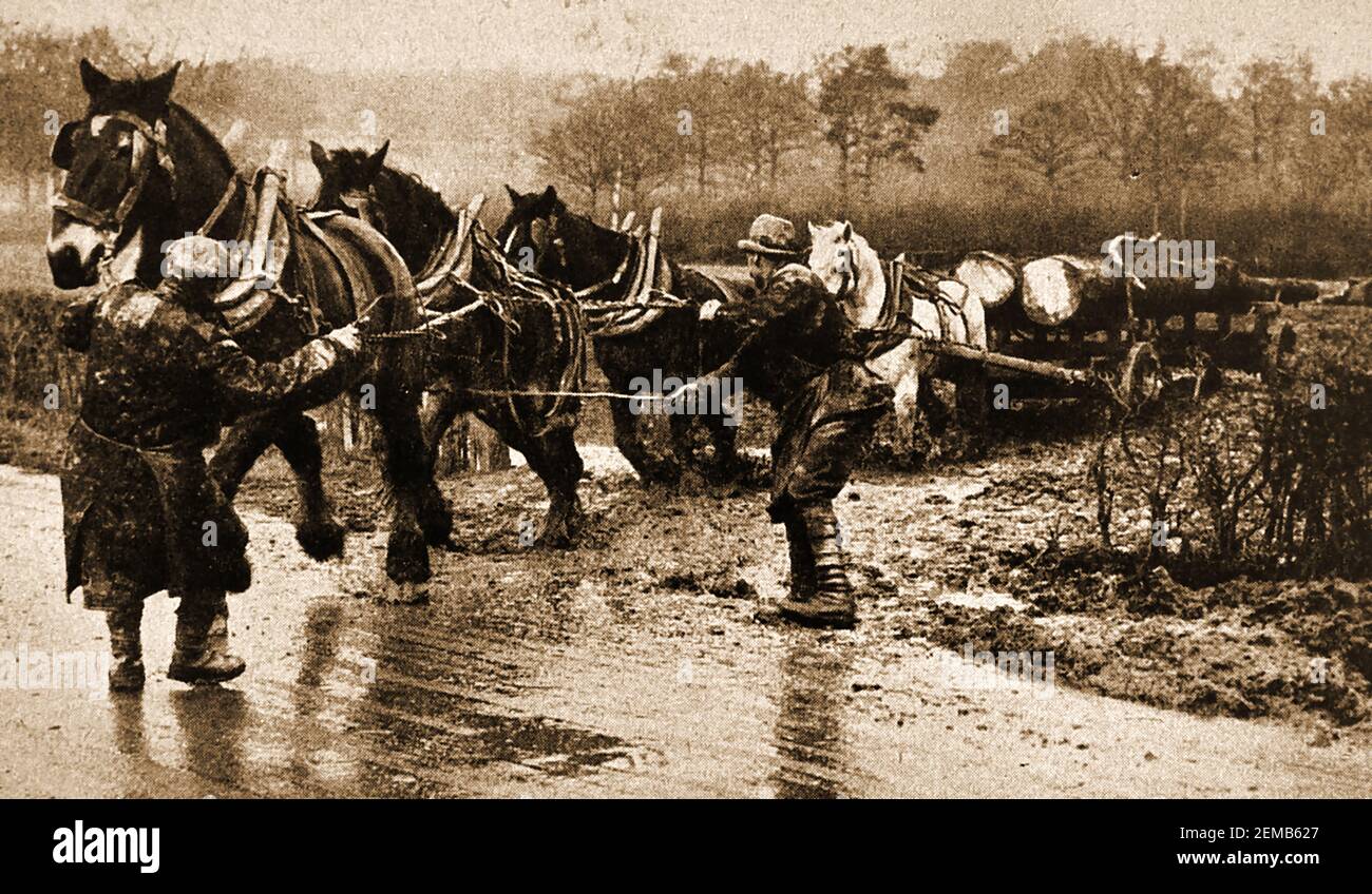 PUISSANCE DE CHEVAL - une image ancienne montrant une équipe de 4 chevaux dessinant un wagon en bois britannique. Banque D'Images