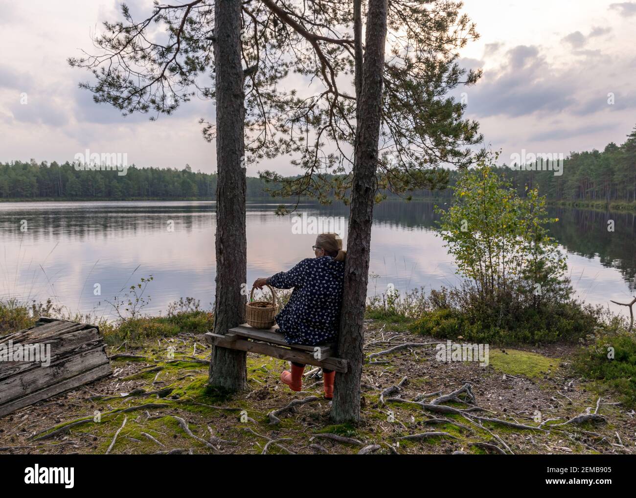 silhouette d'une femme assise sur un banc près du lac de la tourbière, petit panier de champignons dans ses mains, paysage du lac de la tourbière, temps d'automne Banque D'Images