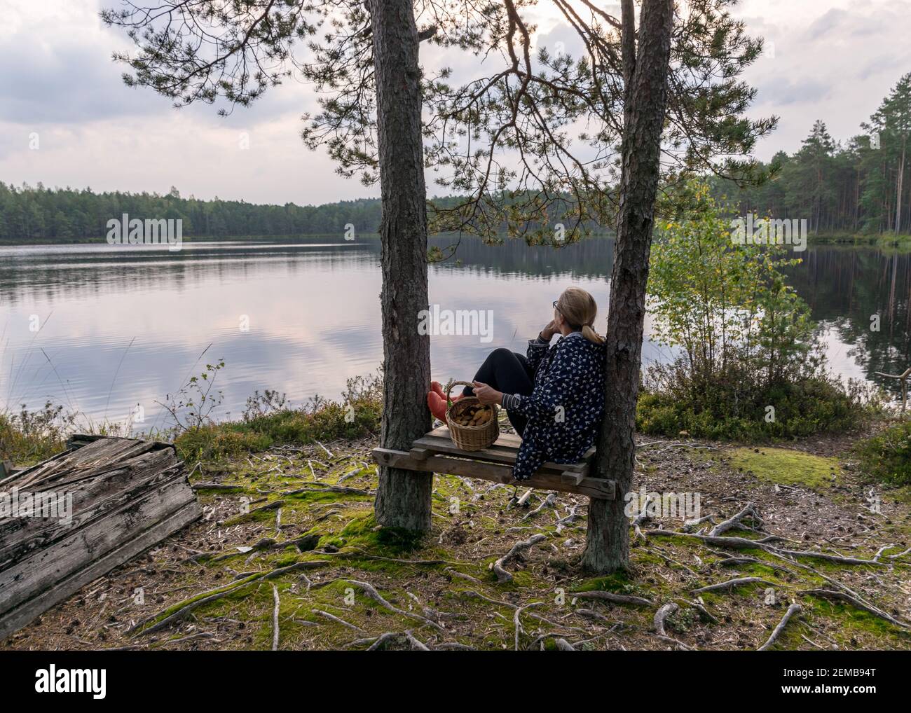 silhouette d'une femme assise sur un banc près du lac de la tourbière, petit panier de champignons dans ses mains, paysage du lac de la tourbière, temps d'automne Banque D'Images