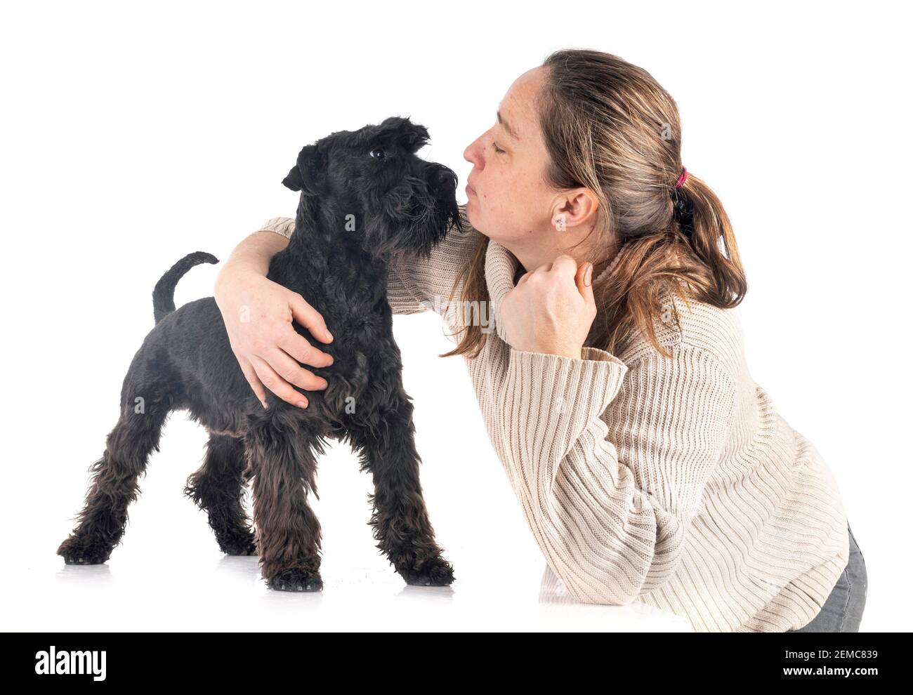 Schnauzer nain et woman in front of white background Banque D'Images
