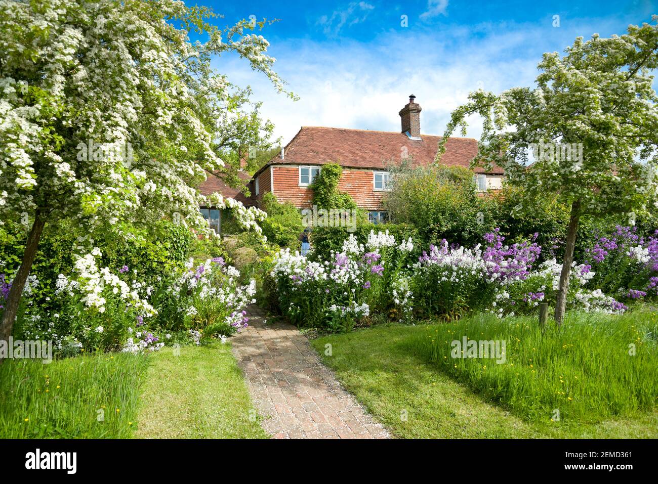 Perch Hill dans East Sussex, Angleterre. Banque D'Images