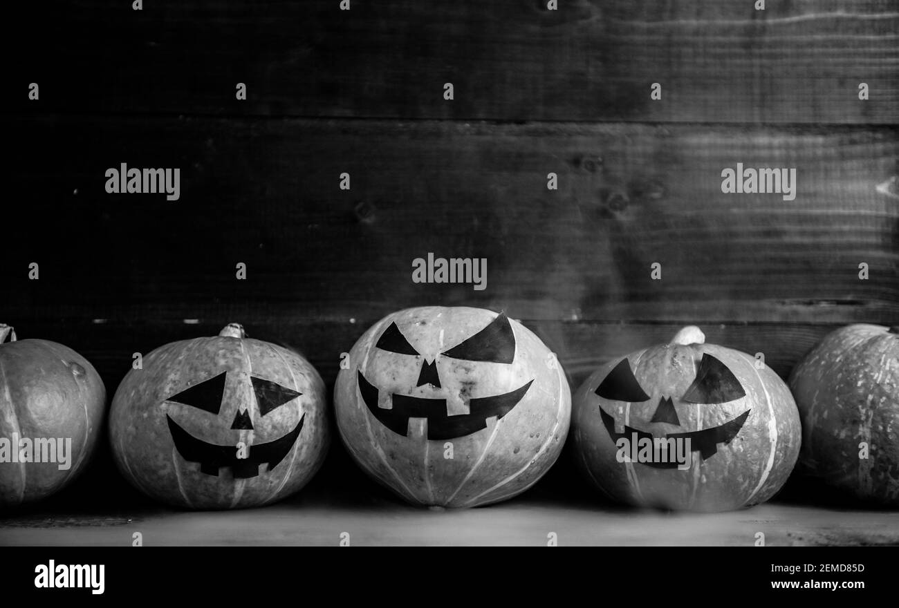 Citrouilles d'Halloween sur bois dans le style de noir et cinéma blanc Banque D'Images