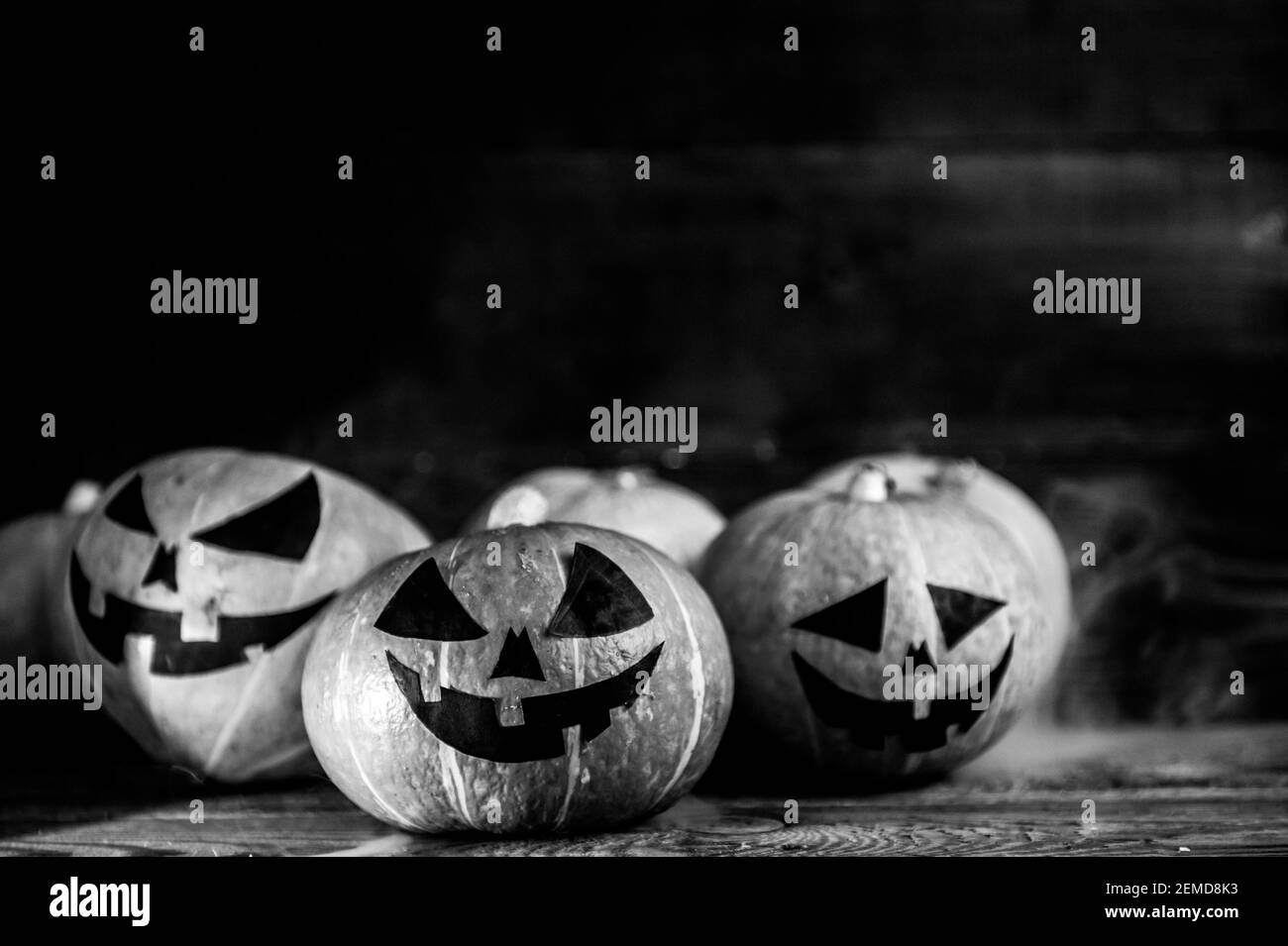 Citrouilles d'Halloween sur bois dans le style de noir et cinéma blanc Banque D'Images