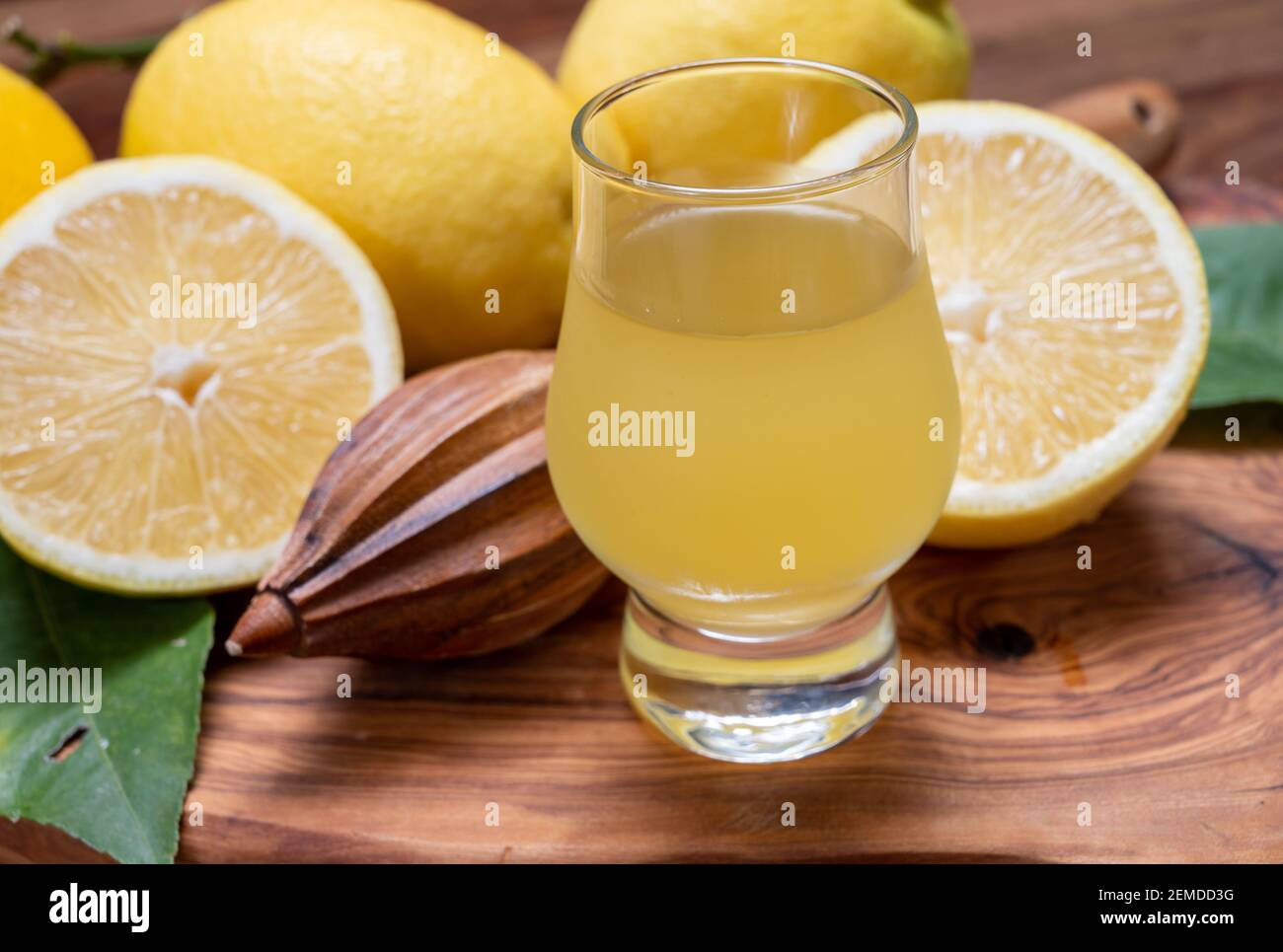 Verre de liqueur de limoncello douce et froide fait à partir de la nouvelle récolte de citrons italiens jaunes mûrs frais, côte amalfitaine, Italie Banque D'Images