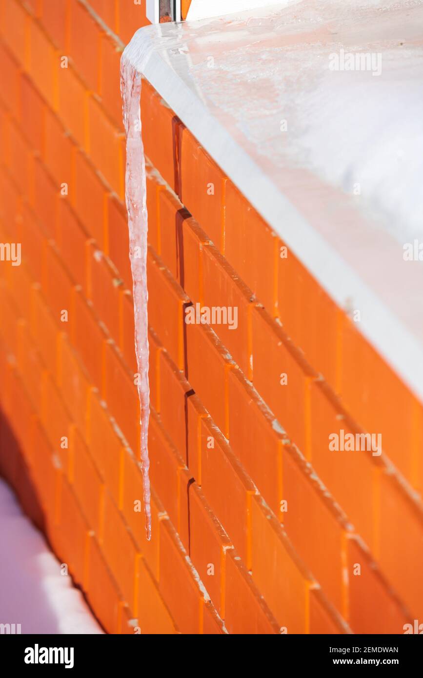 Une grande icule sur le fond d'une brique rouge le mur est suspendu de l'ebb blanc de la fenêtre dans hiver à la veille du printemps Banque D'Images