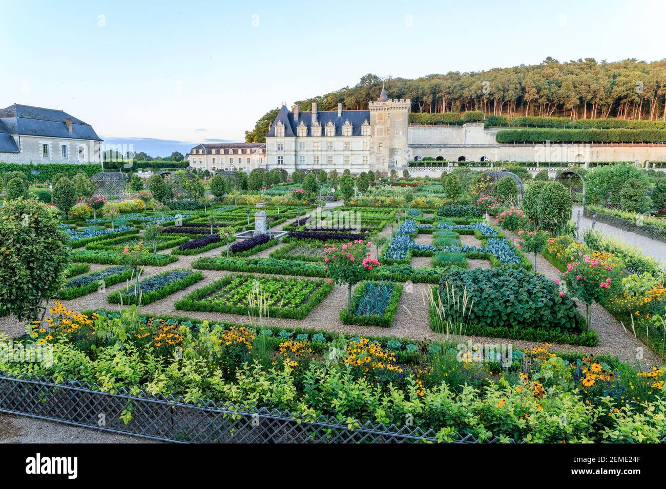 France, Indre et Loire, vallée de la Loire classée au patrimoine mondial de l'UNESCO, le château et les jardins de Villandry, le Potager et le château de l'ev Banque D'Images