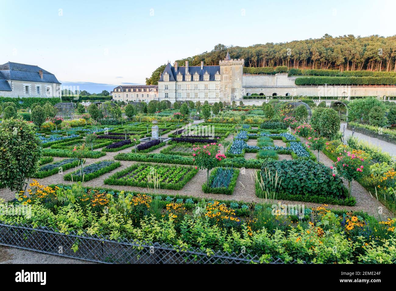 France, Indre et Loire, vallée de la Loire classée au patrimoine mondial de l'UNESCO, le château et les jardins de Villandry, le Potager et le château de l'ev Banque D'Images France, Indre et Loire, vallée de la Loire classée au patrimoine mondial de l'UNESCO, le château et les jardins de Villandry, le Potager et le château de l'ev Banque D'Images