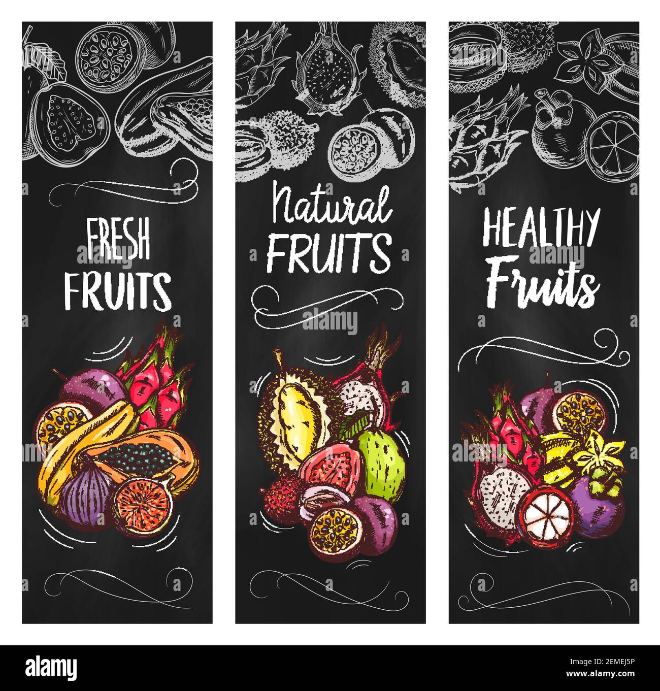 Banderoles Vectorielles De Fruits Exotiques Avec Croquis Pitahaya Mangoustan Et Papaye Figues 