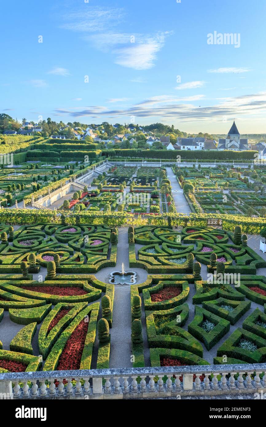 France, Indre et Loire, Vallée de la Loire classée au patrimoine mondial de l'UNESCO, le château et les jardins de Villandry, le jardin ornemental avec haie Banque D'Images