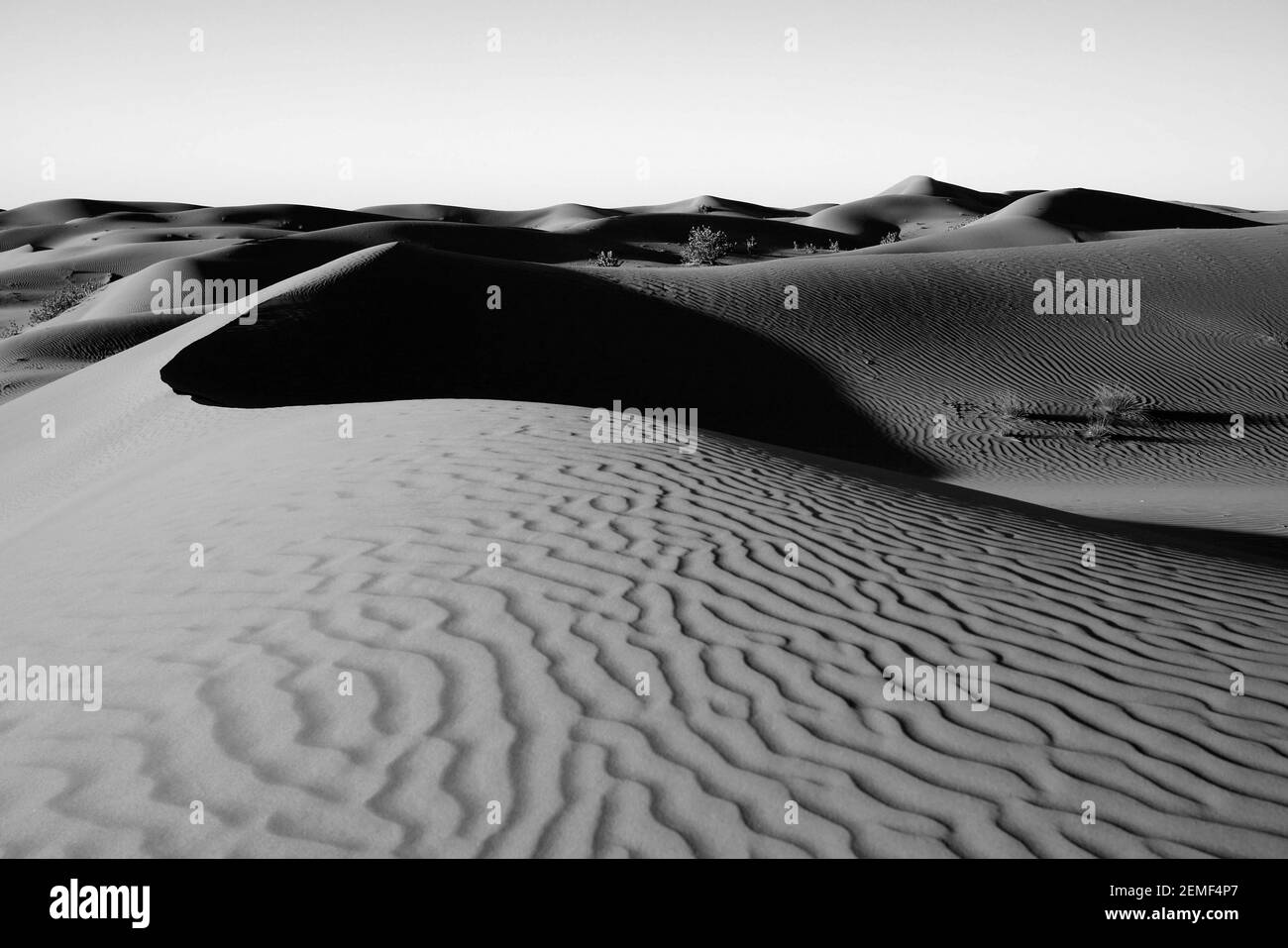 Monochrome, noir et blanc, image des dunes de sable, Émirats arabes Unis, Émirat d'Abu Dhabi Banque D'Images
