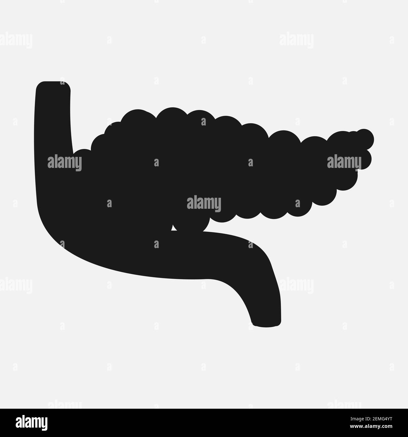 Icône des organes internes humains. Illustration de Vecteur