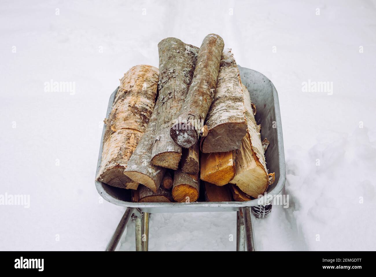 Utilisation de brouettes pour apporter du bois de chauffage sec haché à la maison en hiver. Neige en arrière-plan. Banque D'Images