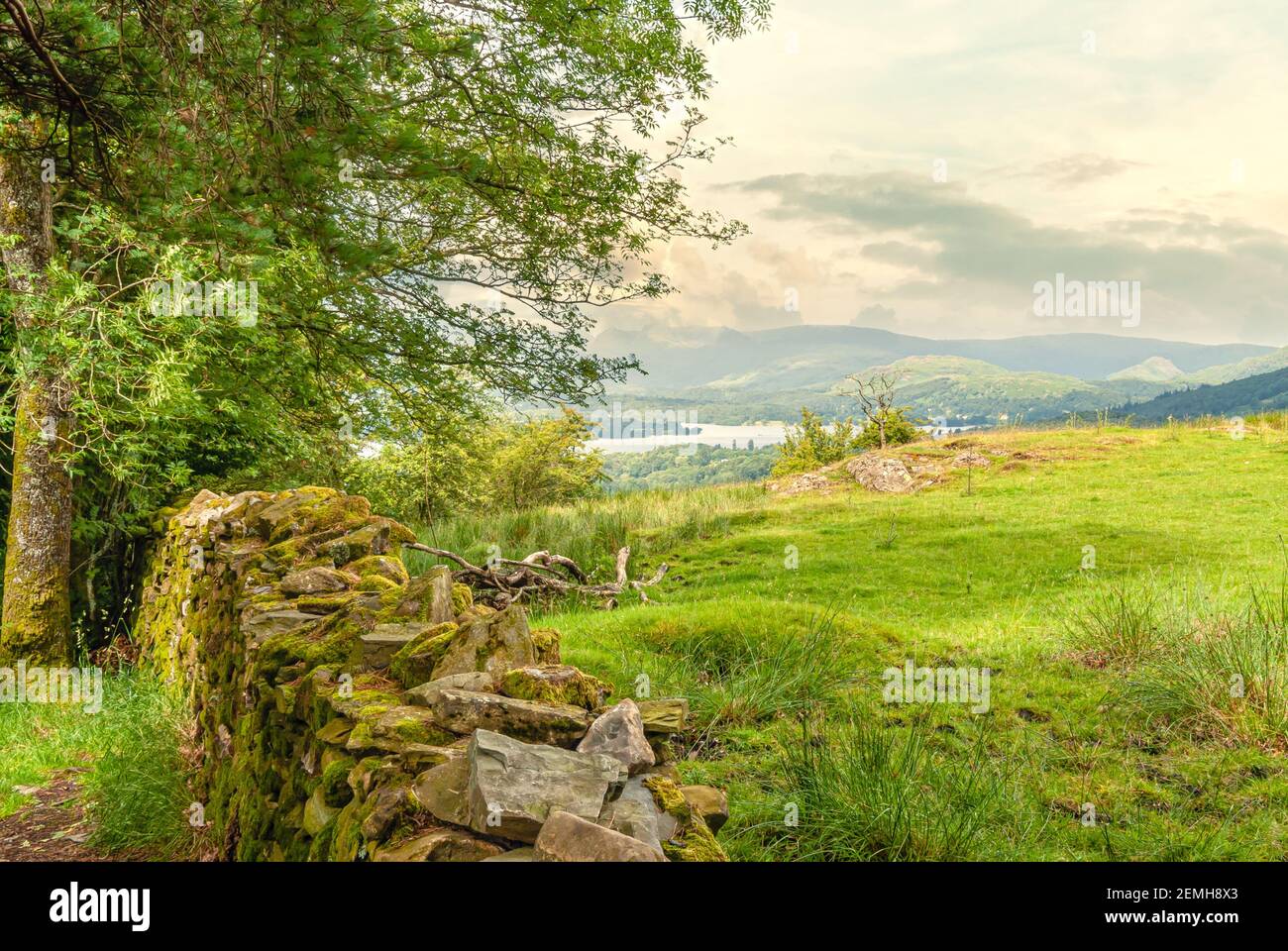 Mur de pierre sèche dans un paysage au parc national de Lake District, Cumbria, Angleterre, Royaume-Uni Banque D'Images