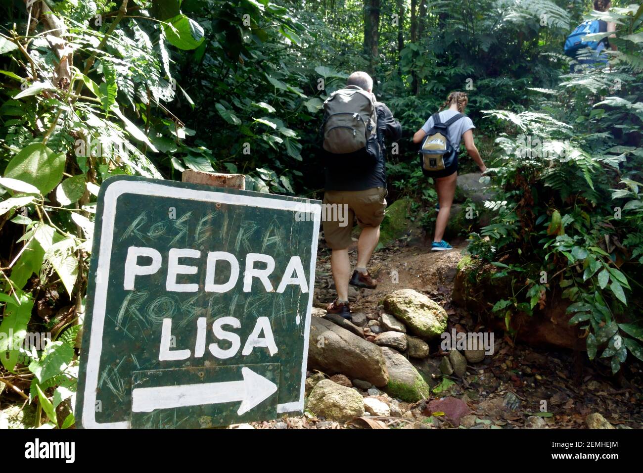 Les gens commencent la randonnée vers Pedra Lisa, forêt tropicale, à Maresias, Brésil Banque D'Images