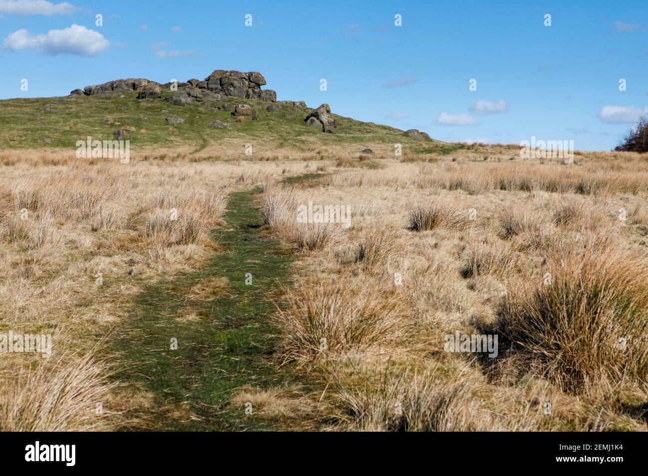 Vue ensoleillée de Little Almscliffe Crag, un affleurement rocheux de grain de pierre du Nord du Yorkshire Banque D'Images