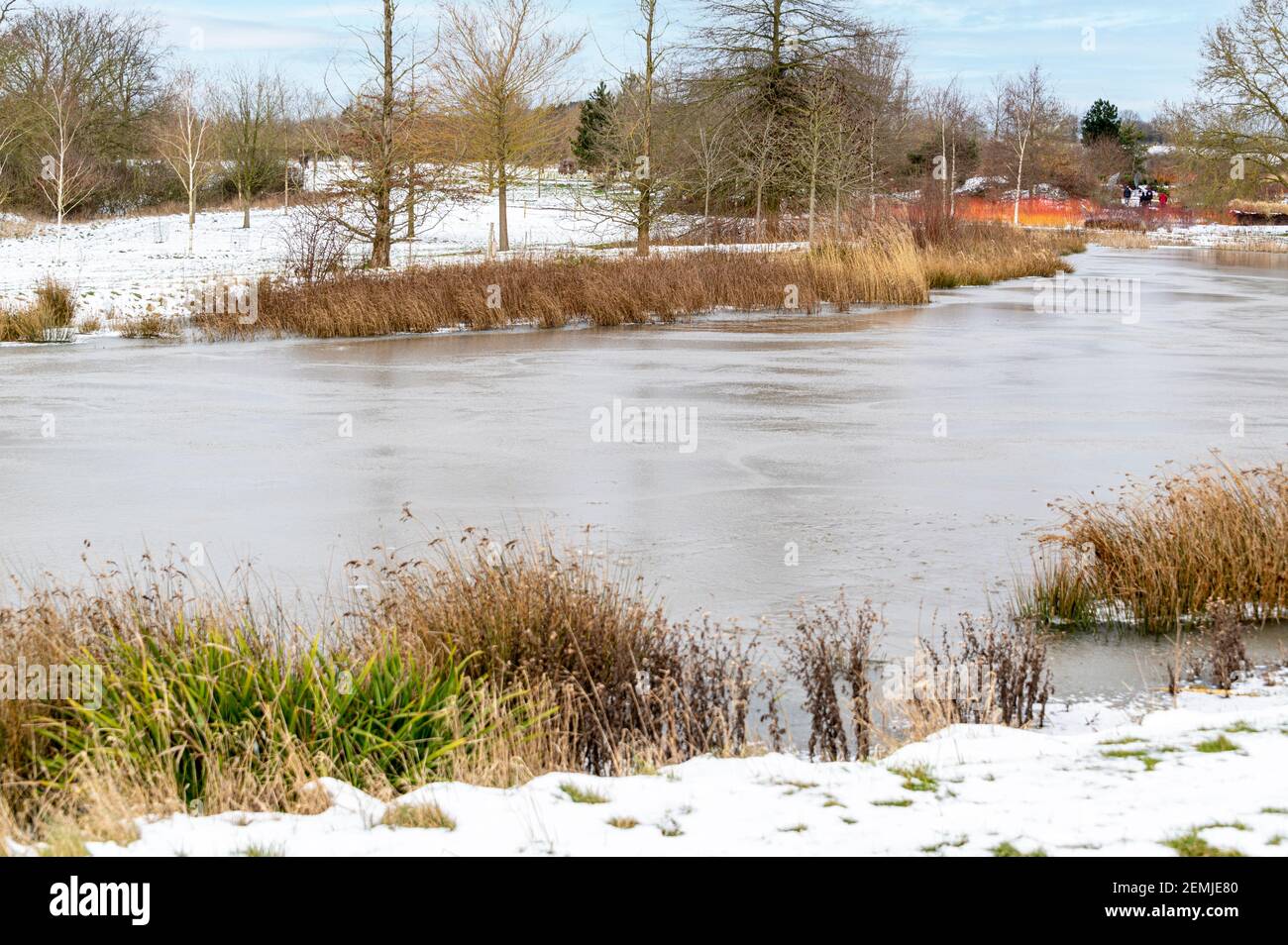 rhs hyde hall, le lac pendant une journée hivernale enneigée Banque D'Images