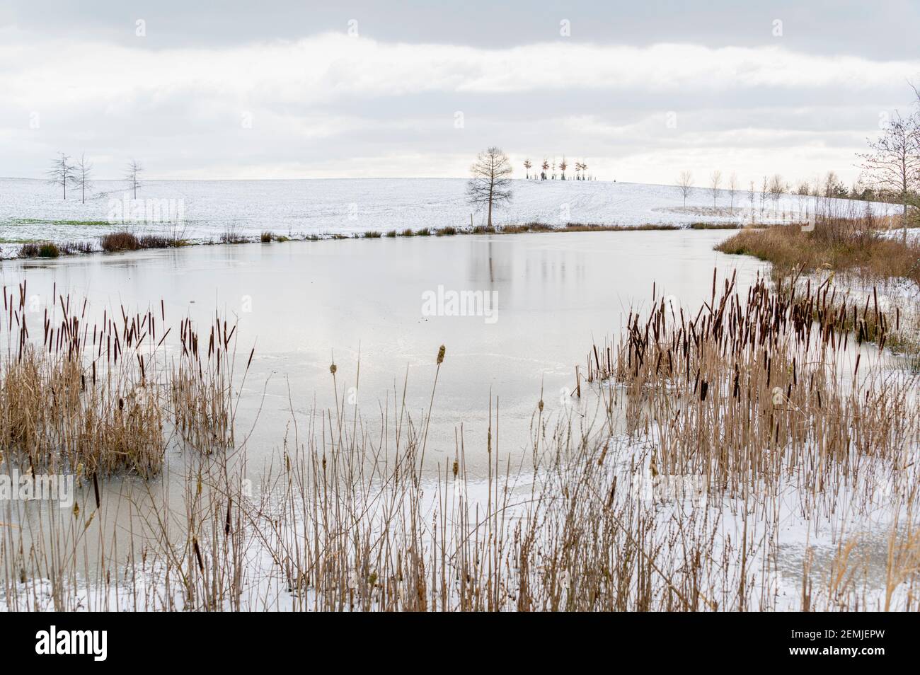 rhs hyde hall, le lac pendant une journée hivernale enneigée Banque D'Images