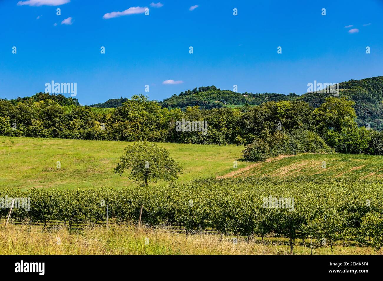 Italie Veneto Colli Berici - Grancona Banque D'Images