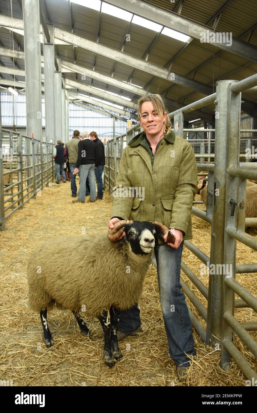 Bergers et agricultrice, Rhoda Munro, qui exploite l'île de Geometra, près de Mull, à Sheep sale à fort William, en Écosse, avec son nouvel achat Banque D'Images