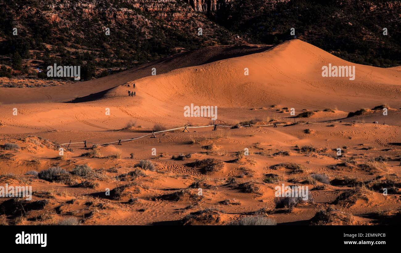 Parc national Coral Pink Sand Dues à la fin de l'hiver. L'érosion, le vent et la météo forment ces dunes à partir des formations rocheuses de grès Navajo voisines. Banque D'Images