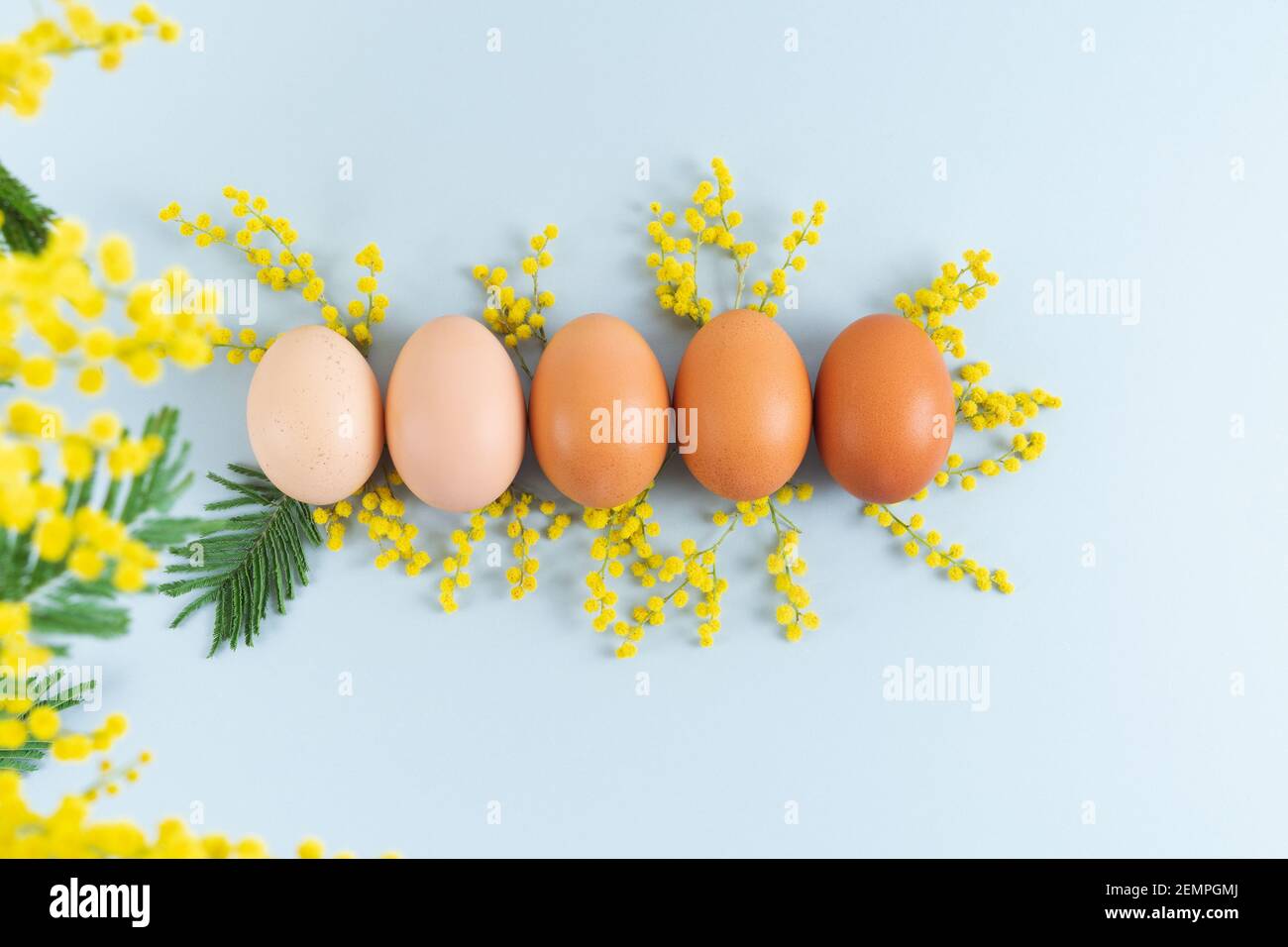 Œufs sur fond bleu avec fleurs jaunes sur fond bleu. Copier l'espace. Banque D'Images