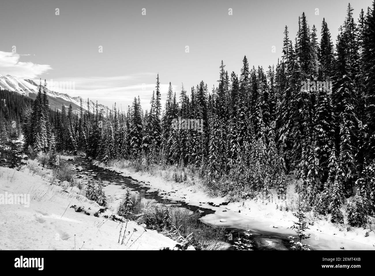 Photographie en noir et blanc de la rivière Maligne dans le parc national Jasper, Canada Banque D'Images