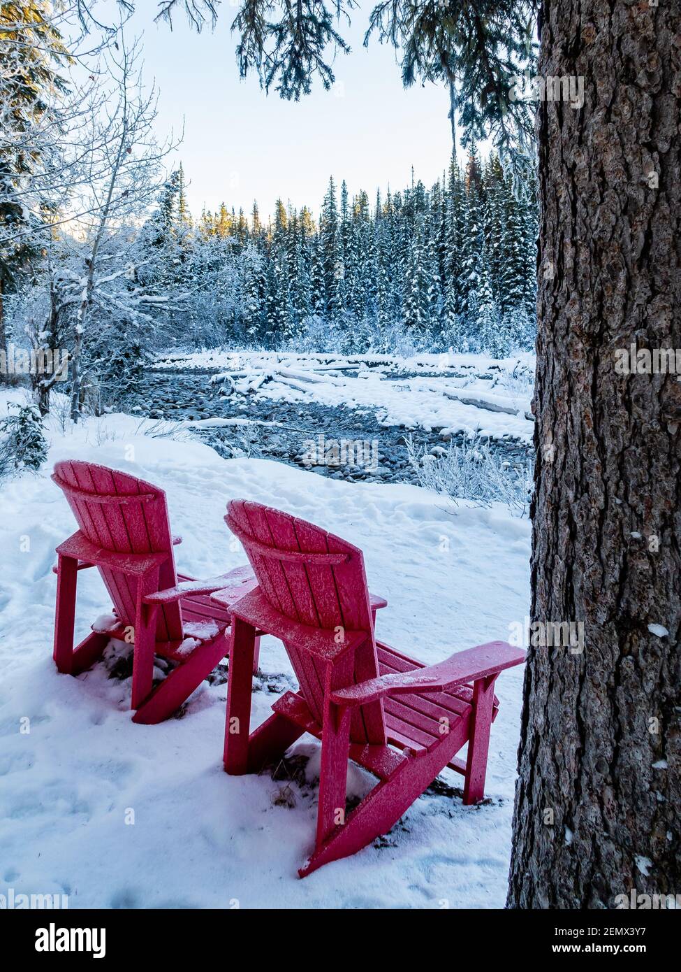 Adirondack chairs in snow Banque de photographies et d'images à haute  résolution - Alamy