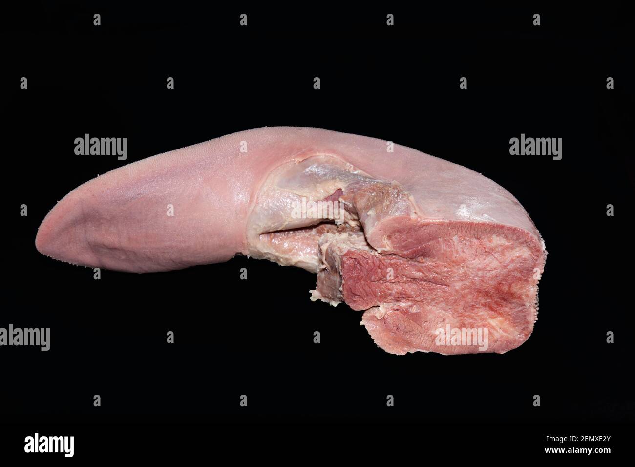 Langue de bœuf cuite Banque D'Images