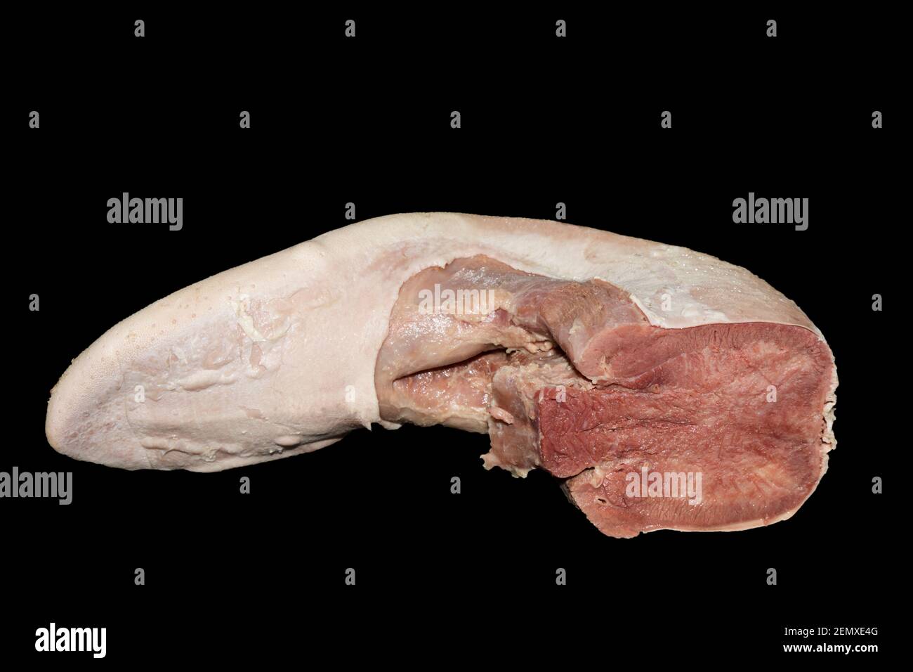 Langue de bœuf cuite Banque D'Images